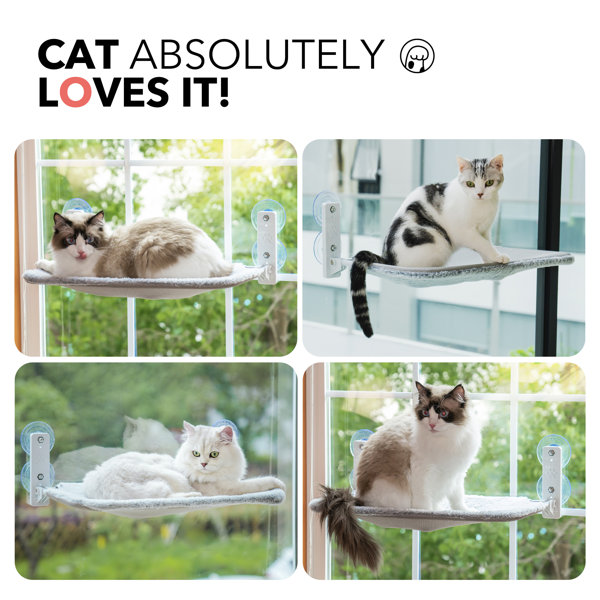 Tucker Murphy Pet™ Cennedy Rectangle Cat Bed & Reviews Wayfair